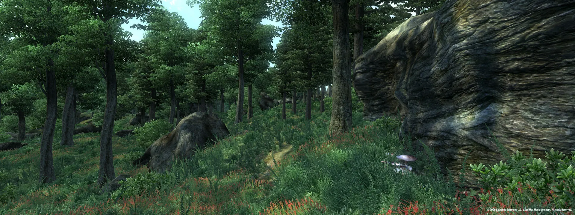The Elder Scrolls IV: Oblivion® Game of the Year Edition (2009)