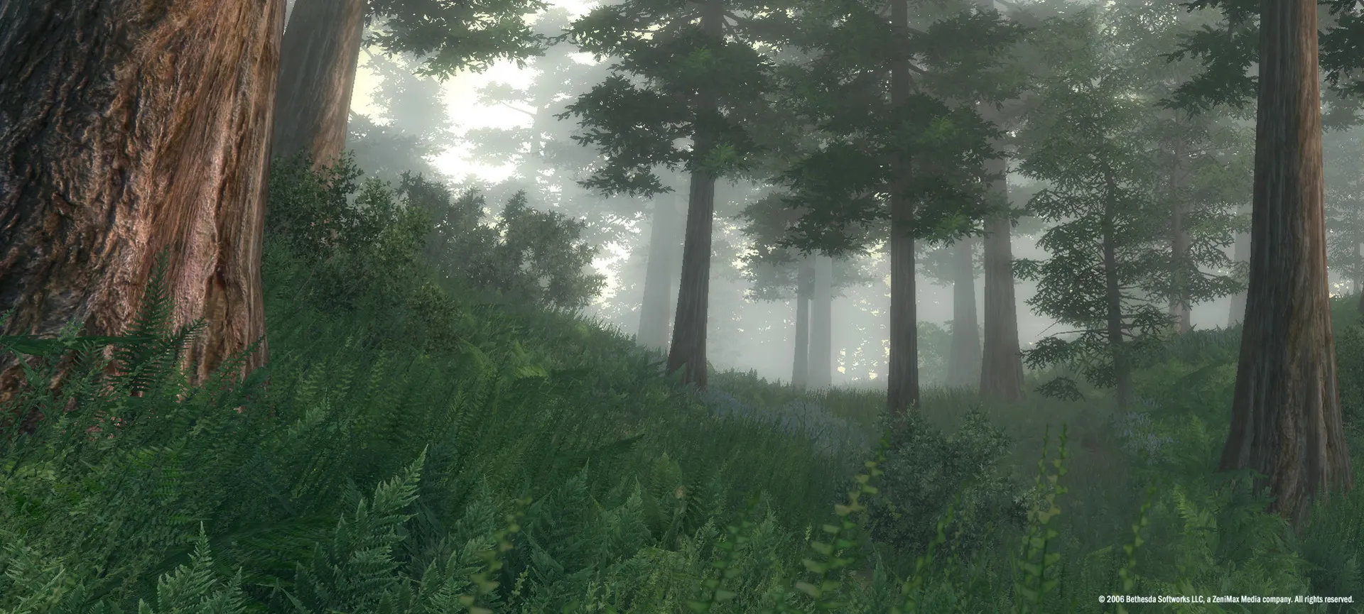 The Elder Scrolls IV: Oblivion® Game of the Year Edition (2009)