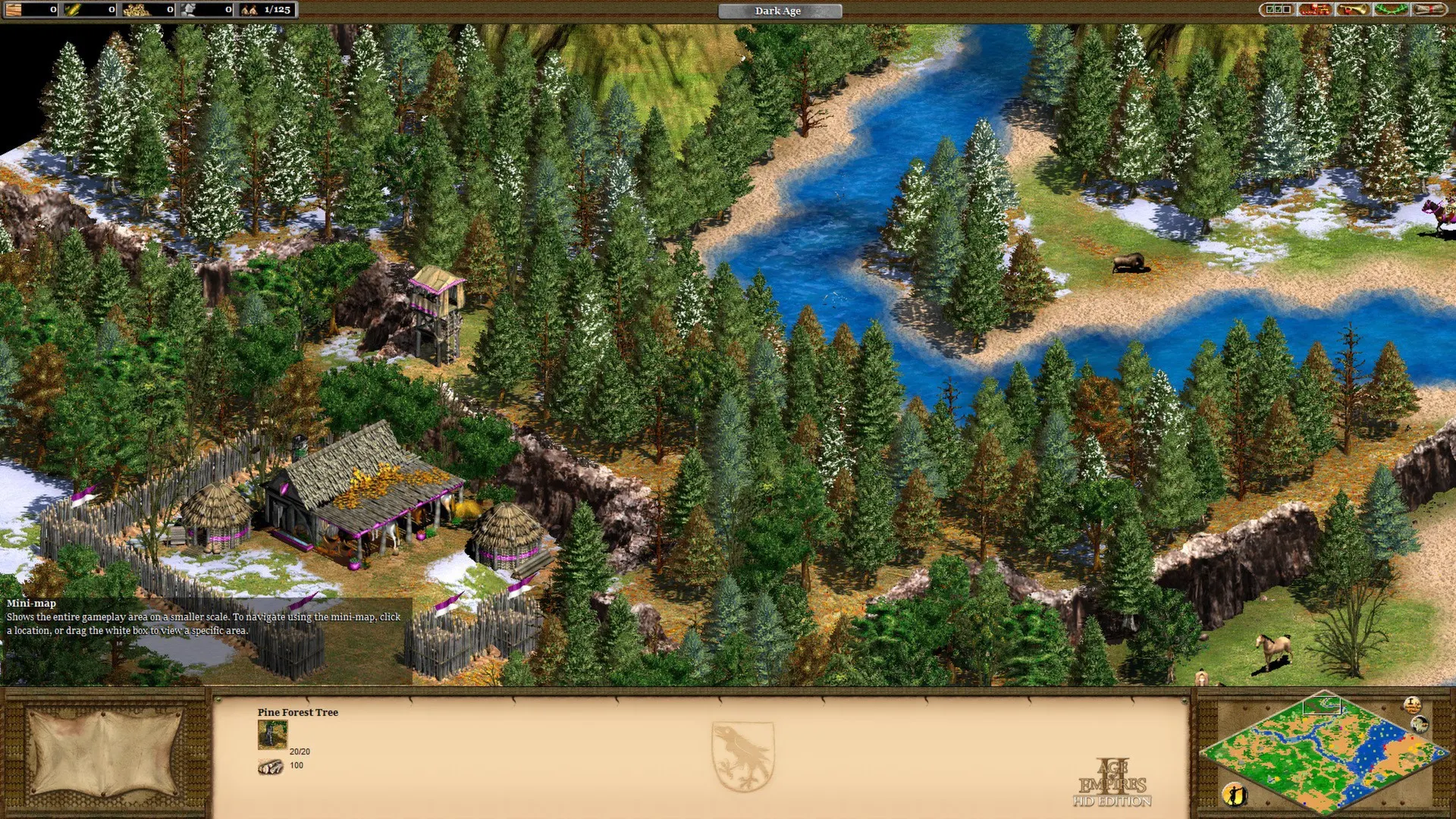 Age of Empires II (Retired)